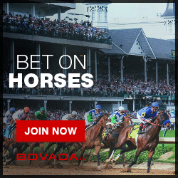 Bovada Racebook