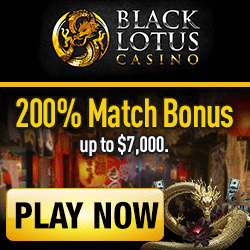 Black Lotus Casino