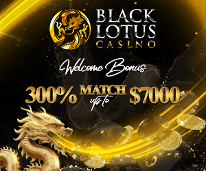 Black Lotus Casino